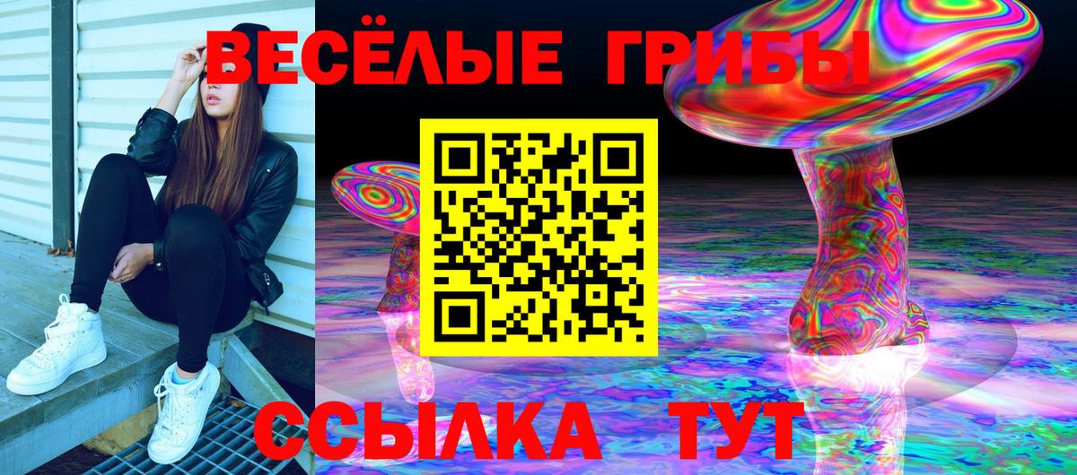 Галлюциногенные грибы прущие грибы  Вход с VPN  где найти   Волгодонск 