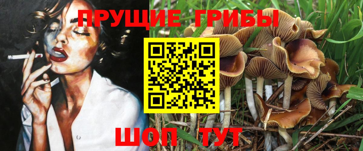 Галлюциногенные грибы GOLDEN TEACHER Волгодонск